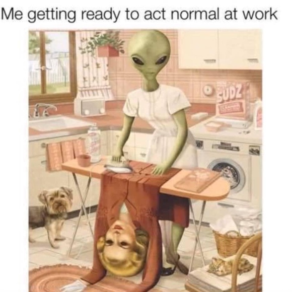 Meet your Posher, Posh - Picture 1 of 1